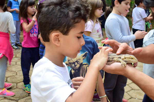 Buy your photos of the eventNR1 - Cl�ssico - 03 a 05/05/17 on Fotop