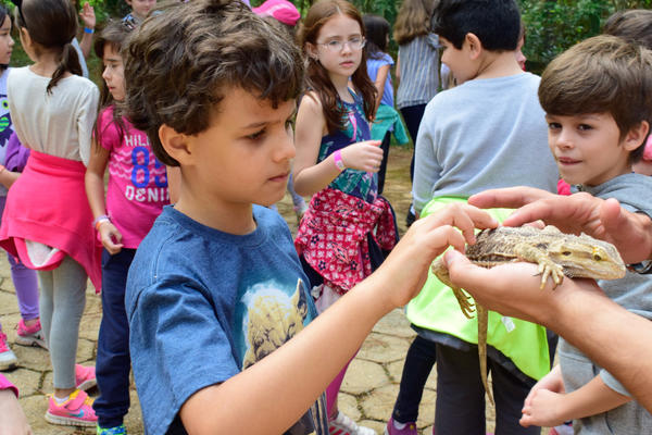 Buy your photos of the eventNR1 - Cl�ssico - 03 a 05/05/17 on Fotop