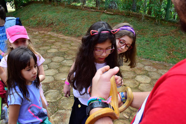 Buy your photos of the eventNR1 - Cl�ssico - 03 a 05/05/17 on Fotop