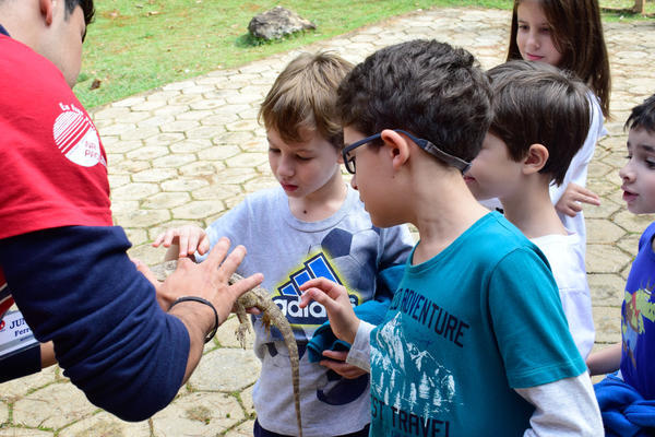 Buy your photos of the eventNR1 - Cl�ssico - 03 a 05/05/17 on Fotop