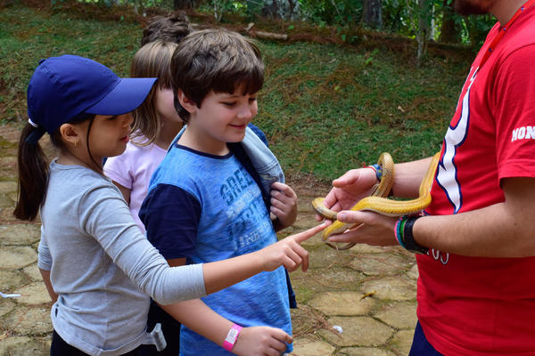 Buy your photos of the eventNR1 - Cl�ssico - 03 a 05/05/17 on Fotop