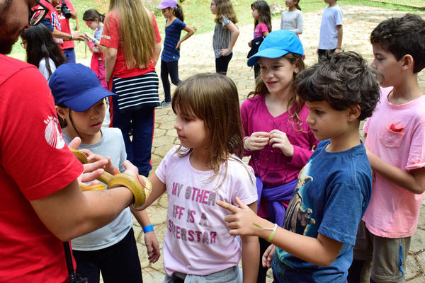 Buy your photos of the eventNR1 - Cl�ssico - 03 a 05/05/17 on Fotop