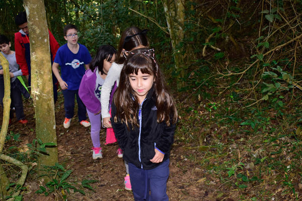 Buy your photos of the eventNR1 - Cl�ssico - 03 a 05/05/17 on Fotop