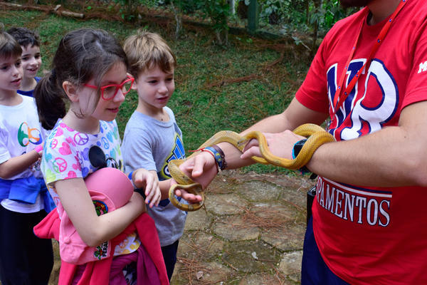 Buy your photos of the eventNR1 - Cl�ssico - 03 a 05/05/17 on Fotop