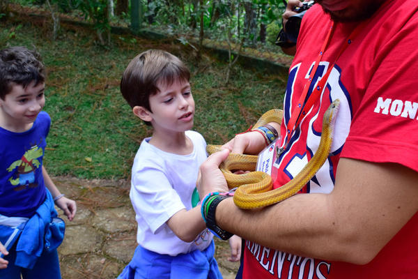 Buy your photos of the eventNR1 - Cl�ssico - 03 a 05/05/17 on Fotop