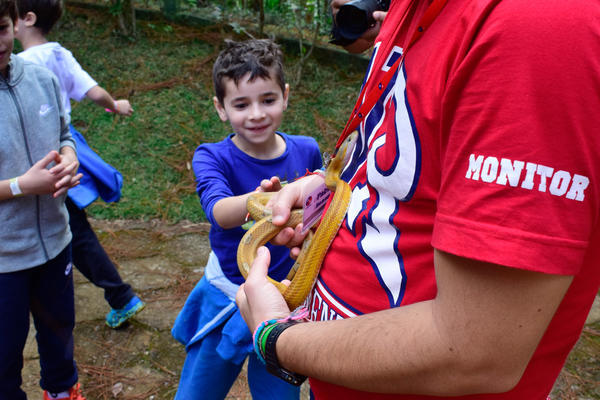 Buy your photos of the eventNR1 - Cl�ssico - 03 a 05/05/17 on Fotop