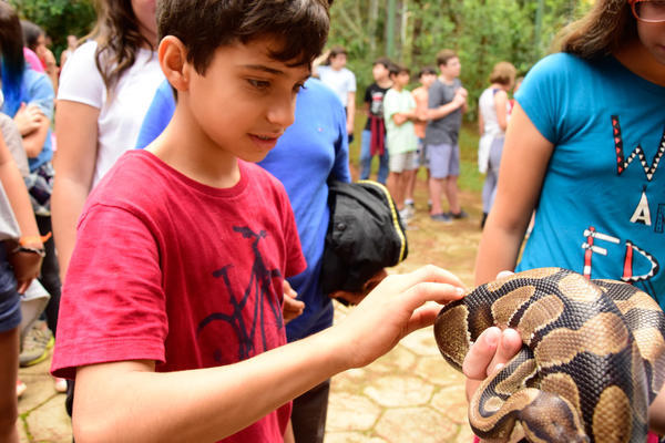 Buy your photos of the eventNR1 - Cl�ssico de 05 a 07/05/17 on Fotop