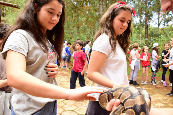 Buy your photos of the eventNR1 - Cl�ssico de 05 a 07/05/17 on Fotop