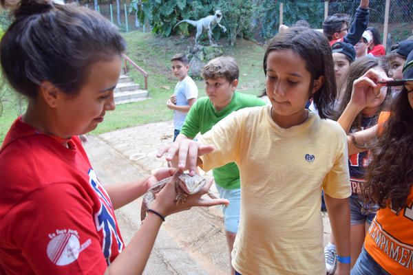 Buy your photos of the eventNR1 - Cl�ssico de 07 a 09/05/17 on Fotop