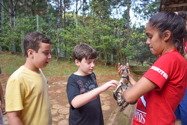 Buy your photos of the eventNR1 - Cl�ssico de 07 a 09/05/17 on Fotop