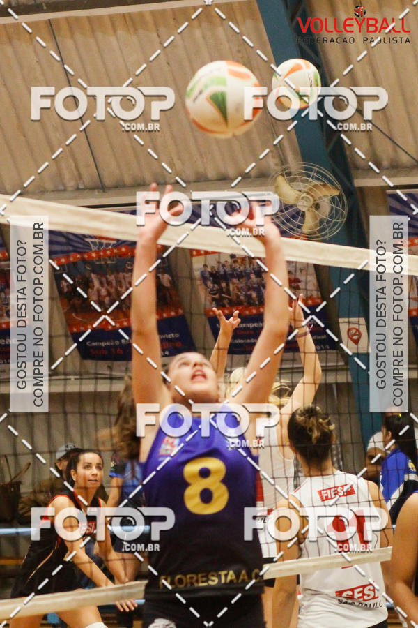 Buy your photos of the eventTorneio Incio FPV - Sub-19 -Fem- 2017 on Fotop