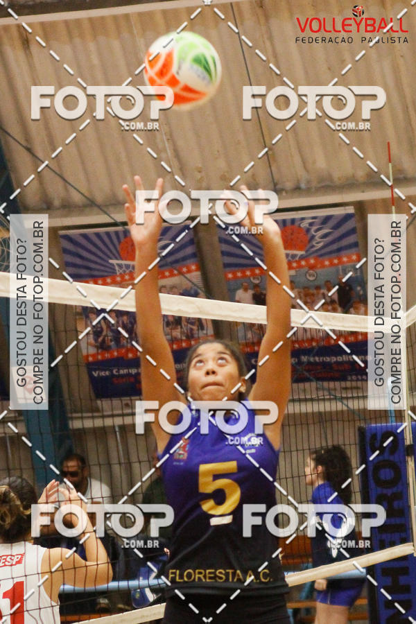 Buy your photos of the eventTorneio Incio FPV - Sub-19 -Fem- 2017 on Fotop