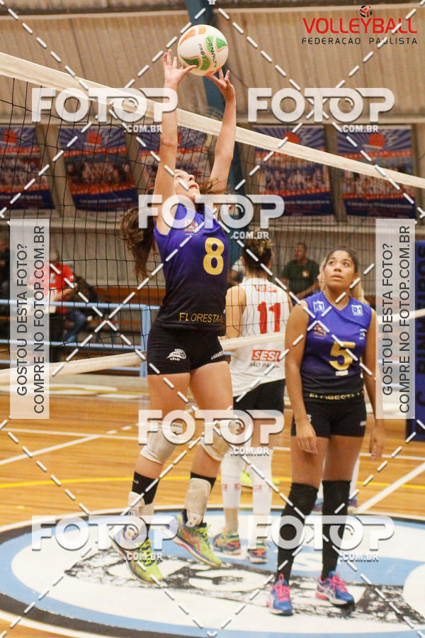 Buy your photos of the eventTorneio Incio FPV - Sub-19 -Fem- 2017 on Fotop