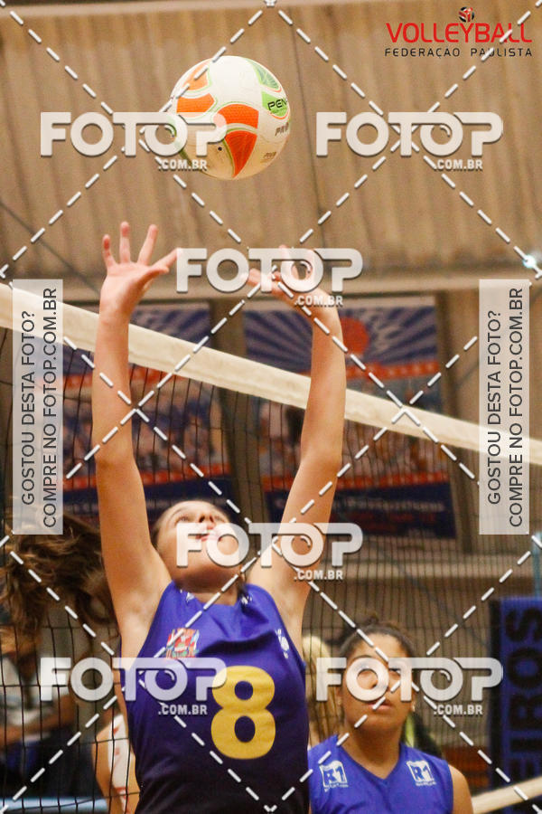 Buy your photos of the eventTorneio Incio FPV - Sub-19 -Fem- 2017 on Fotop