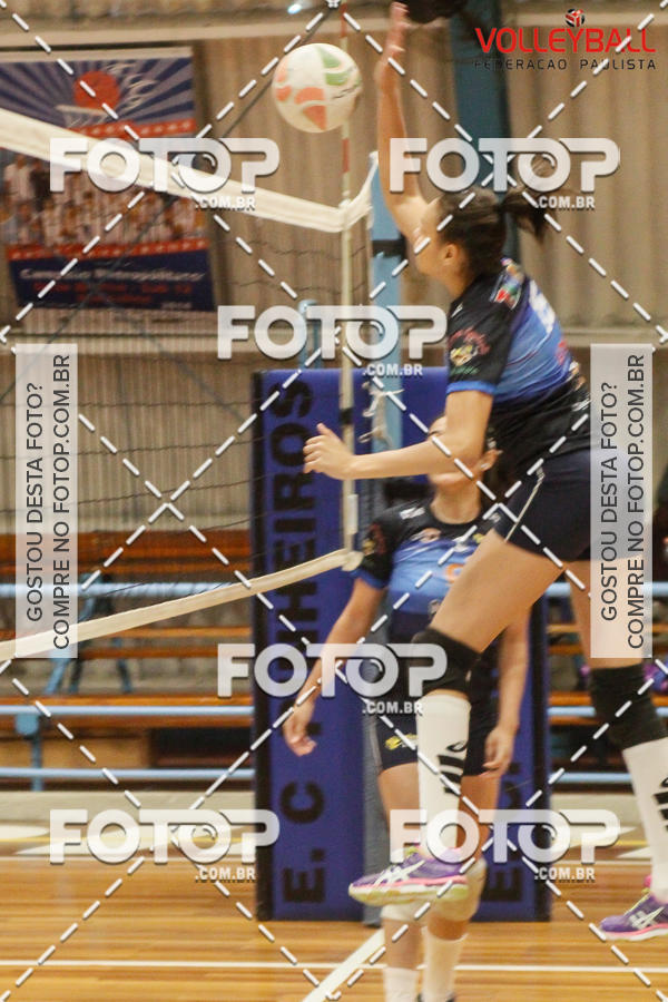 Buy your photos of the eventTorneio Incio FPV - Sub-19 -Fem- 2017 on Fotop