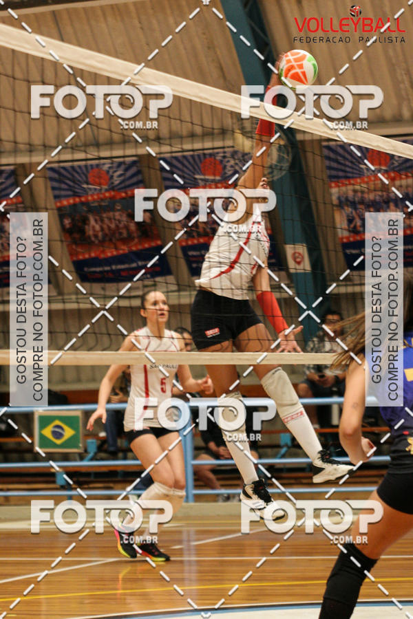 Buy your photos of the eventTorneio Incio FPV - Sub-19 -Fem- 2017 on Fotop