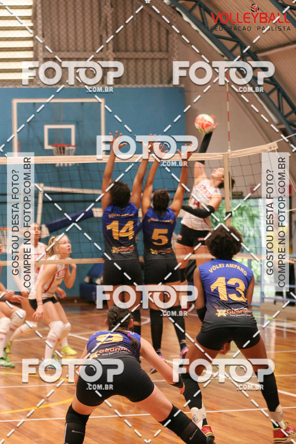 Buy your photos of the eventTorneio Incio FPV - Sub-19 -Fem- 2017 on Fotop