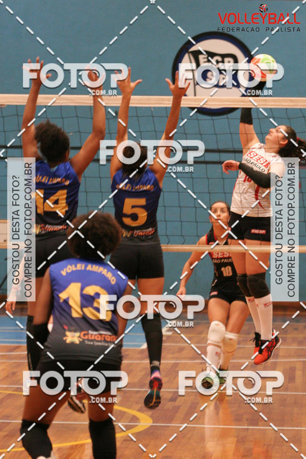 Buy your photos of the eventTorneio Incio FPV - Sub-19 -Fem- 2017 on Fotop