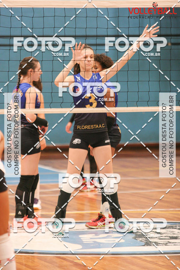 Buy your photos of the eventTorneio Incio FPV - Sub-19 -Fem- 2017 on Fotop