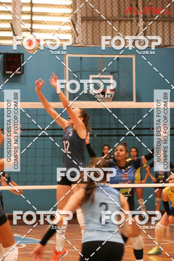 Buy your photos of the eventTorneio Incio FPV - Sub-19 -Fem- 2017 on Fotop