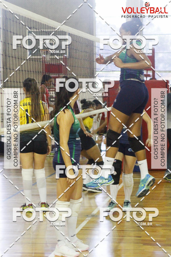 Buy your photos of the eventTorneio Incio FPV - Sub-19 -Fem- 2017 on Fotop