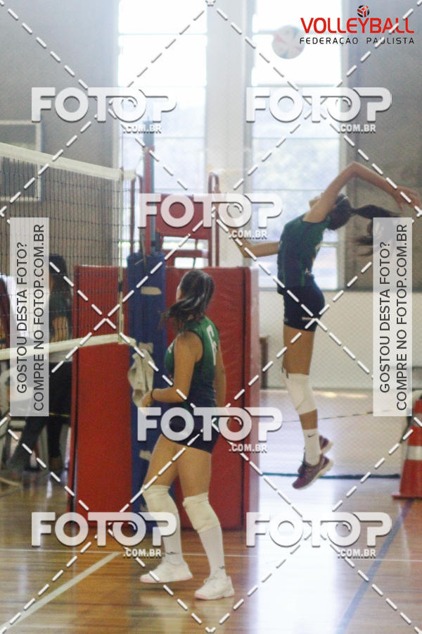 Buy your photos of the eventTorneio Incio FPV - Sub-19 -Fem- 2017 on Fotop