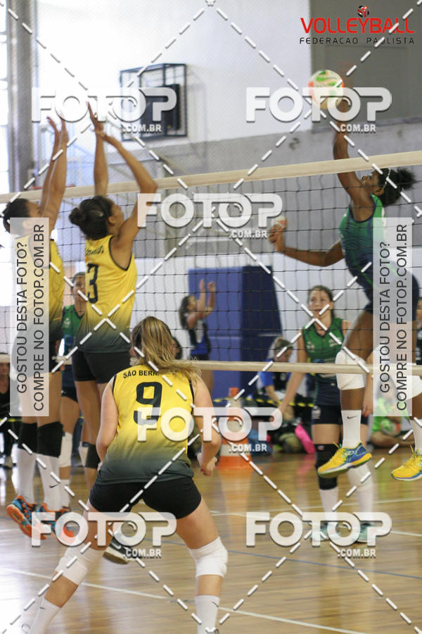 Buy your photos of the eventTorneio Incio FPV - Sub-19 -Fem- 2017 on Fotop