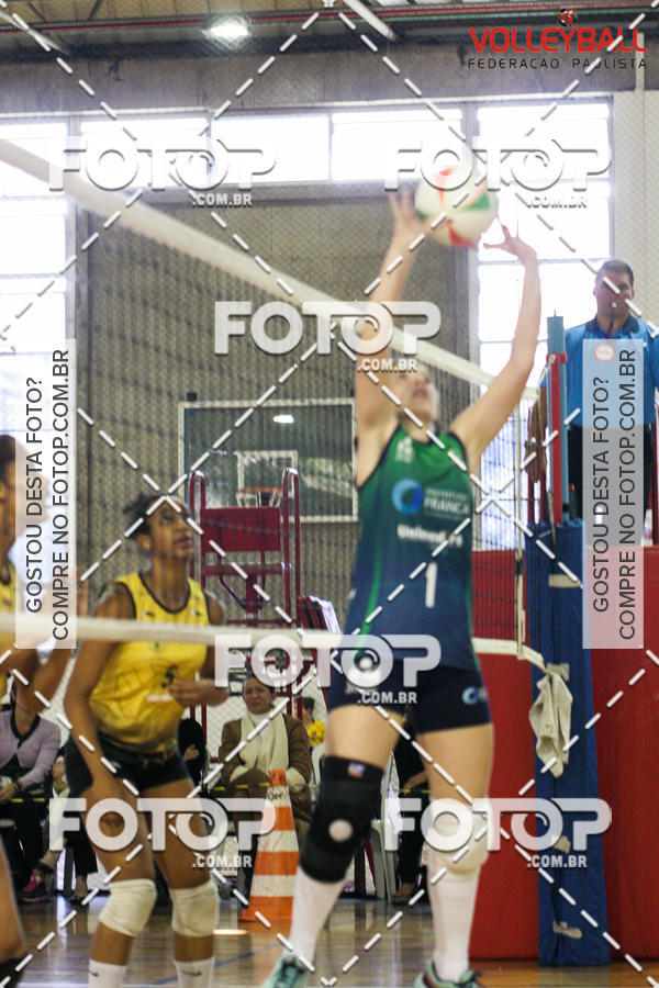 Buy your photos of the eventTorneio Incio FPV - Sub-19 -Fem- 2017 on Fotop