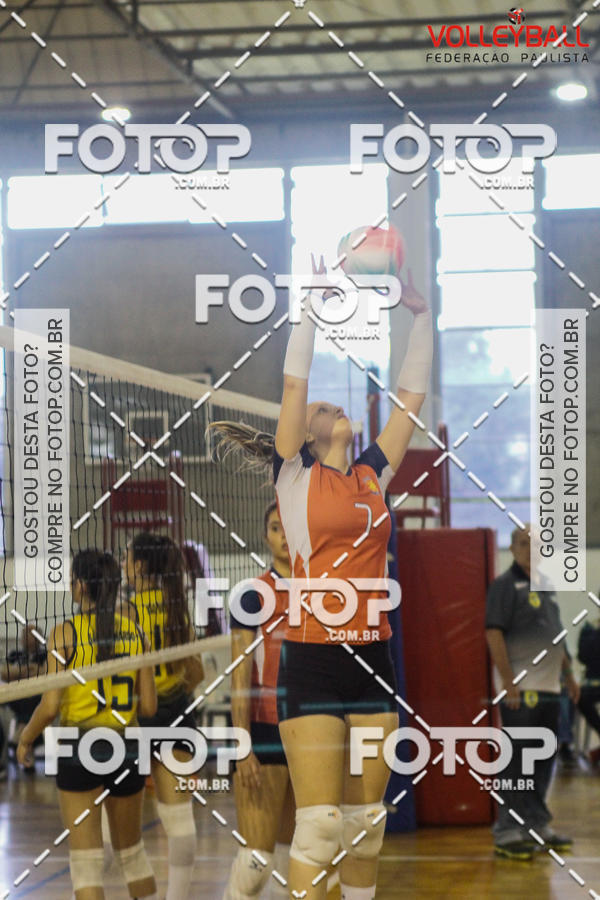 Buy your photos of the eventTorneio Incio FPV - Sub-19 -Fem- 2017 on Fotop