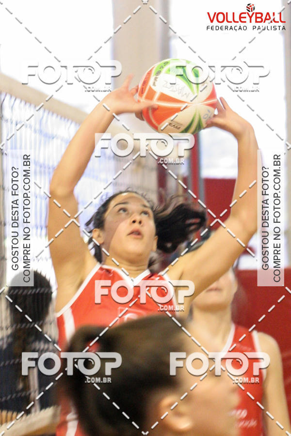 Buy your photos of the eventTorneio Incio FPV - Sub-19 -Fem- 2017 on Fotop