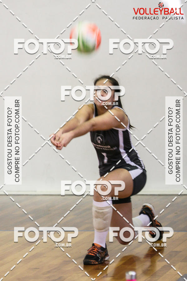 Buy your photos of the eventTorneio Incio FPV - Sub-19 -Fem- 2017 on Fotop