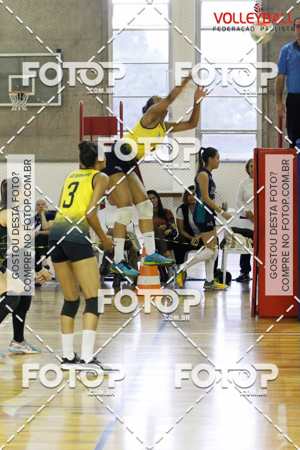 Buy your photos of the eventTorneio Incio FPV - Sub-19 -Fem- 2017 on Fotop