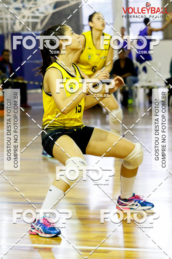 Buy your photos of the eventTorneio Incio FPV - Sub-19 -Fem- 2017 on Fotop