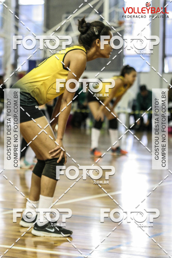 Buy your photos of the eventTorneio Incio FPV - Sub-19 -Fem- 2017 on Fotop