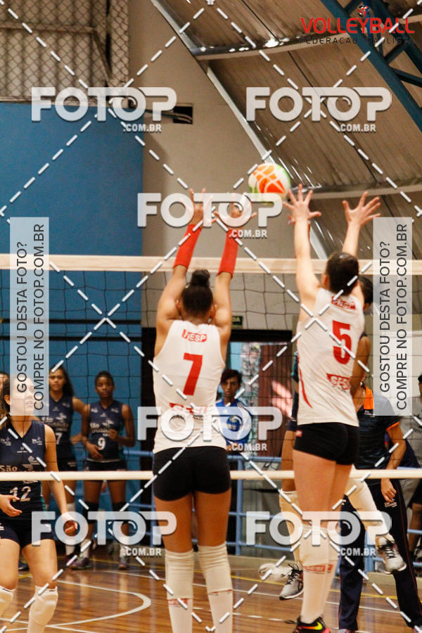 Buy your photos of the eventTorneio Incio FPV - Sub-19 -Fem- 2017 on Fotop