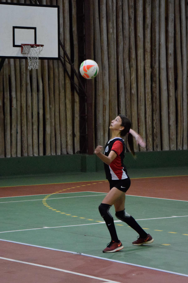 Buy your photos of the eventNR2 - Little8 - 09 a 13/05/17 on Fotop