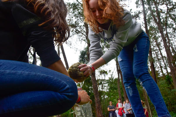 Buy your photos of the eventNR1 - English & Action 17 A 19/05/17 on Fotop