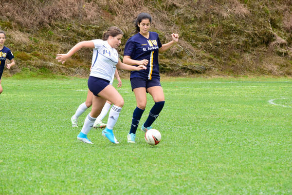 Buy your photos of the eventNR2 - Friendship Festival - 18 a 23/05/17 on Fotop