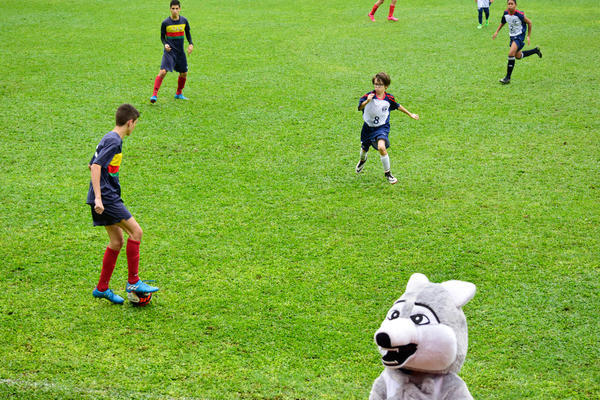 Buy your photos of the eventNR2 - Friendship Festival - 18 a 23/05/17 on Fotop