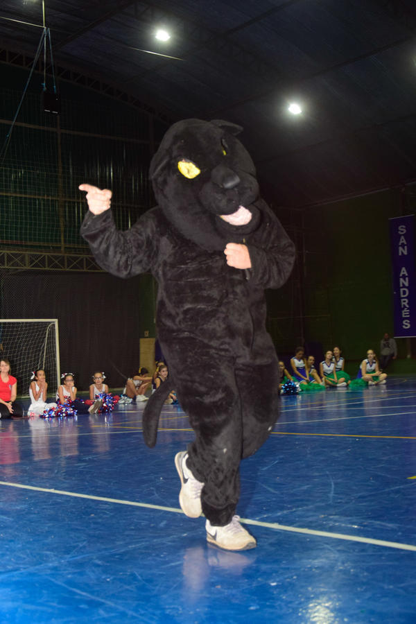 Buy your photos of the eventNR2 - Friendship Festival - 18 a 23/05/17 on Fotop