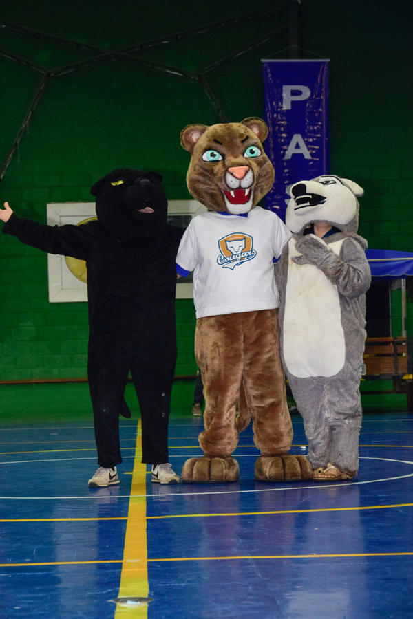 Buy your photos of the eventNR2 - Friendship Festival - 18 a 23/05/17 on Fotop