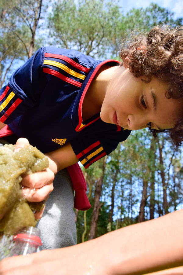 Buy your photos of the eventNR1 - English & Action 19 A 21/05/17 on Fotop