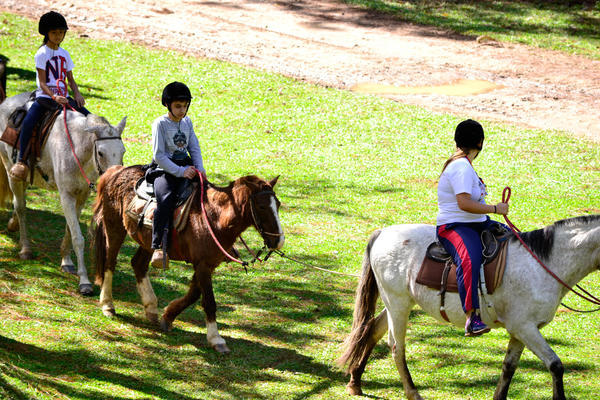 Buy your photos of the eventNR1 - English & Action 19 A 21/05/17 on Fotop