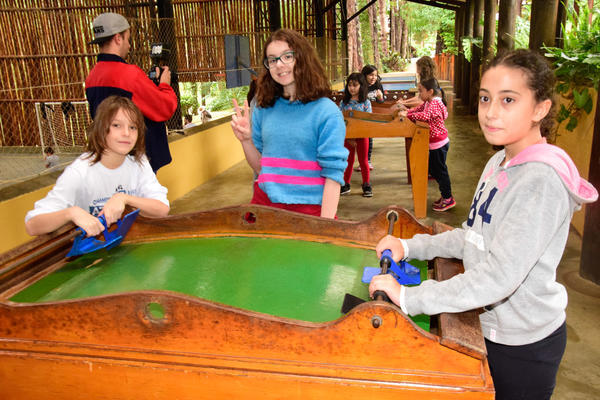 Buy your photos of the eventNR1 - English & Action 21 A 23/05/17 on Fotop