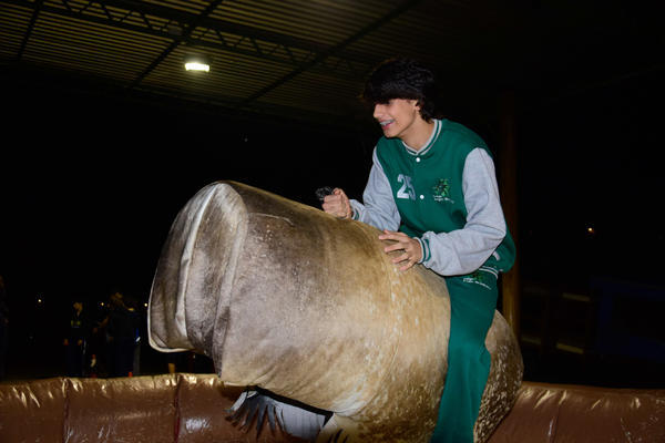 Buy your photos of the eventNR2 - Friendship Festival - 23 a 28/05/17 on Fotop