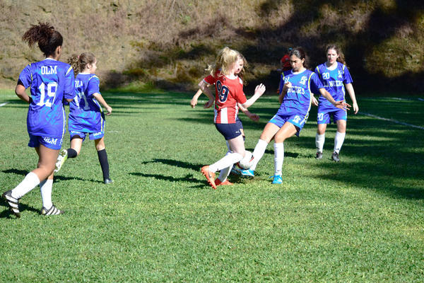 Buy your photos of the eventNR2 - Friendship Festival - 23 a 28/05/17 on Fotop