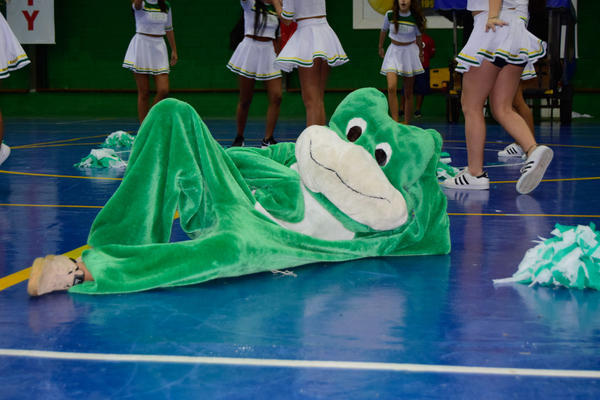 Buy your photos of the eventNR2 - Friendship Festival - 23 a 28/05/17 on Fotop