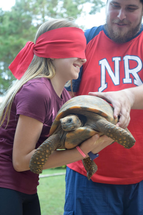 Buy your photos of the eventNR1 - English & Action 25 A 28/05/17 on Fotop