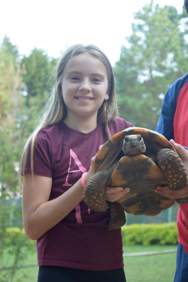 Buy your photos of the eventNR1 - English & Action 25 A 28/05/17 on Fotop