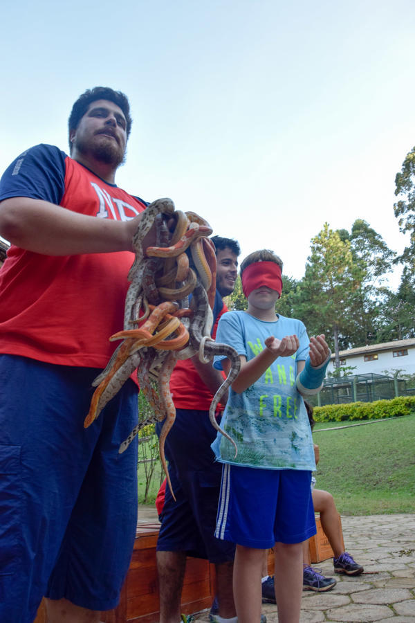 Buy your photos of the eventNR1 - English & Action 25 A 28/05/17 on Fotop